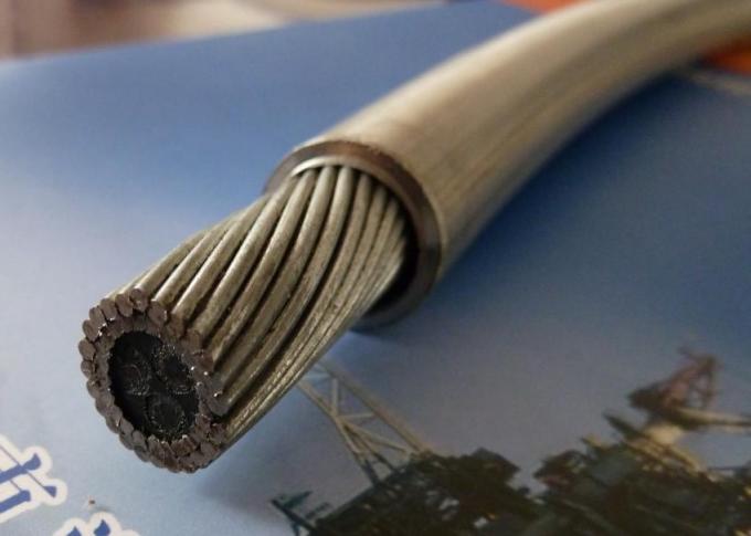 Olie & Gasdownhole Downhole Vezel Optische Kabel, Roestvrij staal het Testen Kabel